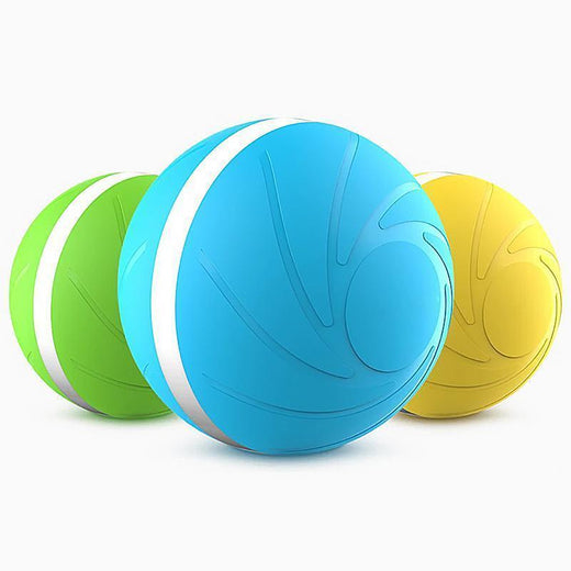 Happy Doggie Magic Ball Pet Motion Toy